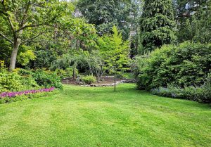 Optimiser l'expérience du jardin à Longchamp-sur-Aujon